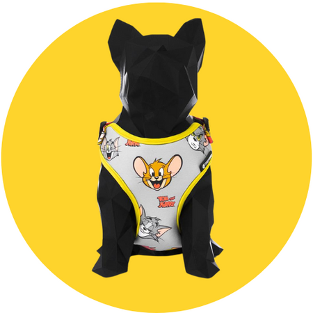 Coleiras e Peitorais