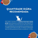 Ração Úmida Cat Chow Gatos | Sabor Carne 85g