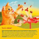 Ração Úmida Friskies Sachê Gatos | Sabor Cordeio ao Molho 85g