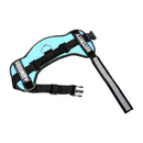 Peitoral Chalesco - Power Safe | Cor Azul