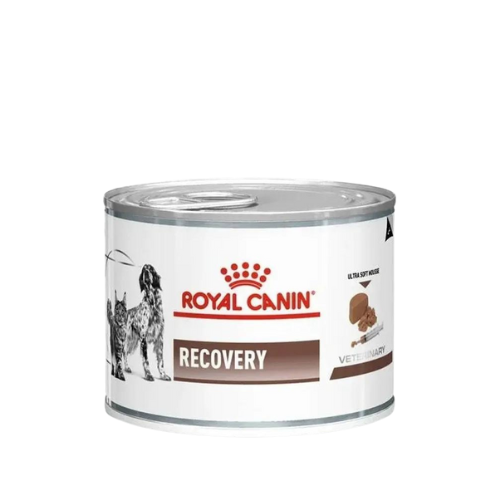 Ração Úmida Recovery Royal Canin - 195g | Cães E Gatos