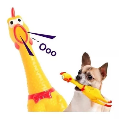 Frango Galinha Borracha Para Morder Brinquedo - 30cm | Cães Pet