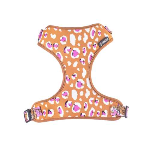 Peitoral Air Funny - Tamanho P | Cães Pequenos FreeFaro