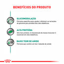 Ração Royal Canin Diabetic - 1.5kg | cães com diabetes