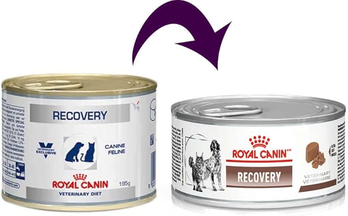 Ração Úmida Recovery Royal Canin - 195g | Cães E Gatos