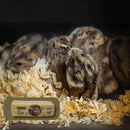 Forração Prensada - 800g | Hamster Natural