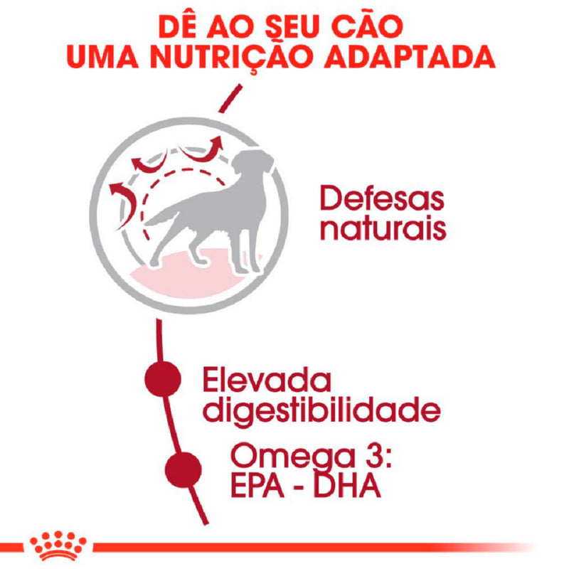 Ração Royal Canin Medium Adulto Porte Médio - 15kg