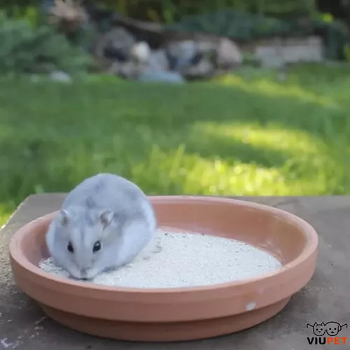 Carbonato de Cálcio Pó Banho Seco - 1kg | Hamster Topolino Gerbil