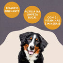 Biscoito Cães Pequeno Porte - 1kg | Magnus Crocante