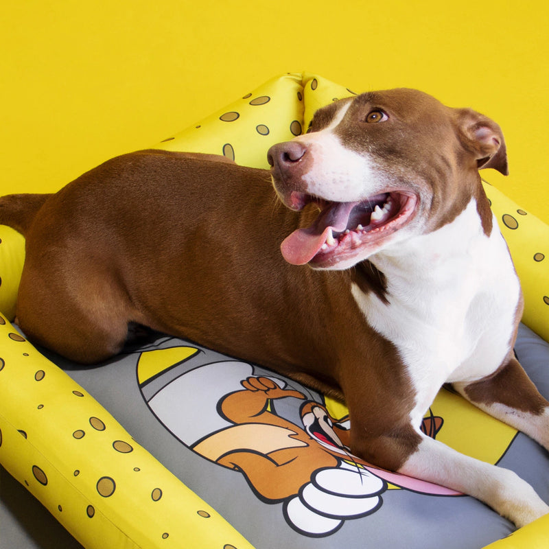 Caminha Tom & Jerry Free Faro - Cães e Gato Tamanho M