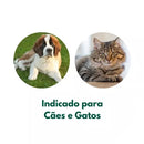 Vermífugo Vetmax Plus Para Cães E Gatos - 4 Comprimidos | 700mg Vetnil