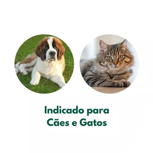 Vermífugo Vetmax Plus Para Cães E Gatos - 4 Comprimidos | 700mg Vetnil