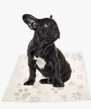 Jornal Higiênico Biodegradável 50 folhas - MundoPet