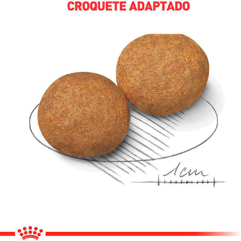 Ração Royal Canin Medium Adulto Porte Médio - 15kg