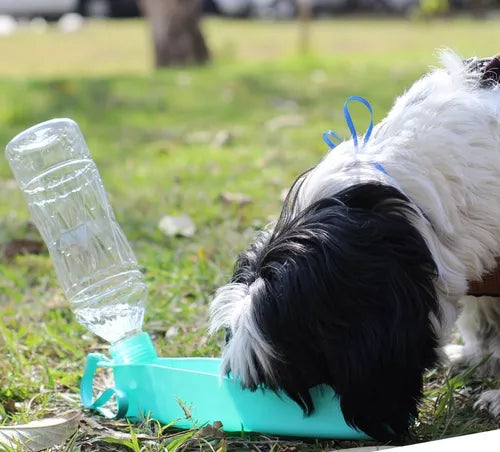 Bebedouro Plastico Portátil Drink - 450ml | ClubPet