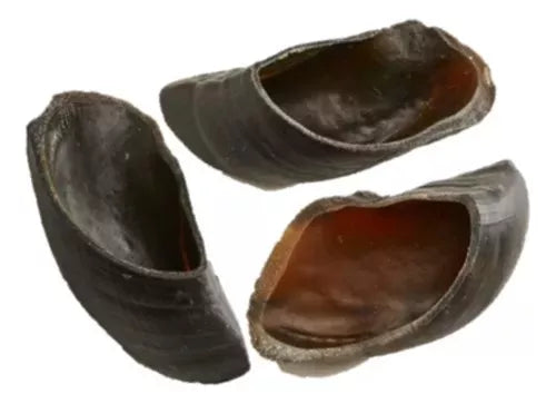 Petisco Natural Origens - 120g | Casco Bovino