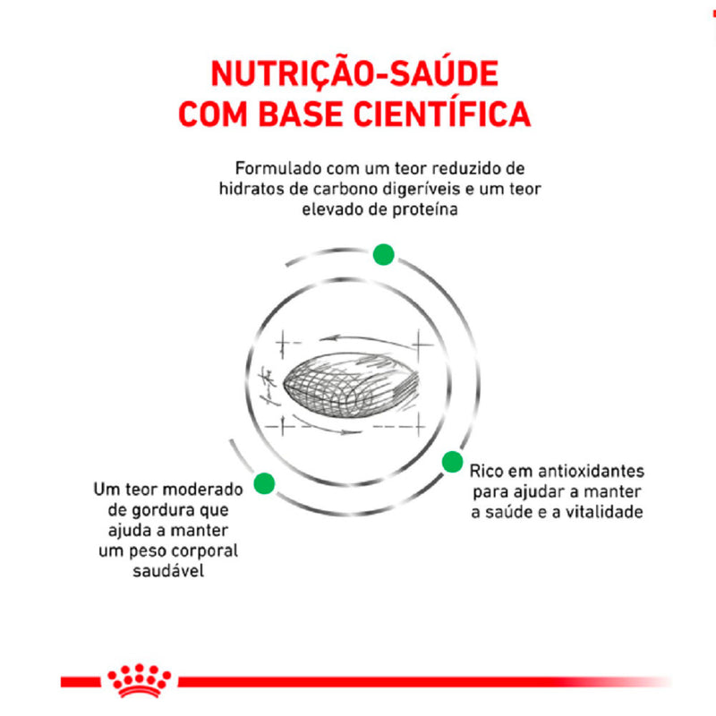 Ração Royal Canin Diabetic - 1.5kg | cães com diabetes