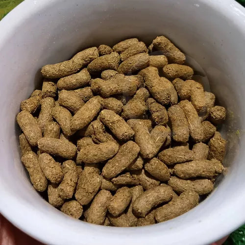 Ração Mega Zoo - 500g | Para Porquinho Da Índia Adulto