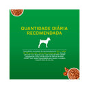 Ração Úmida Dog Chow Cães Mini e Pequenos - 100g | Sabor Frango, Carne e Salmao