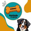 Biscoito Para Cães Cachorro Orignal - 400g | Magnus Crocante Premium