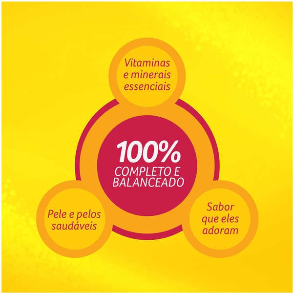 Ração Úmida Friskies Sachê Gatos | Sabor Salmão ao Molho 85g