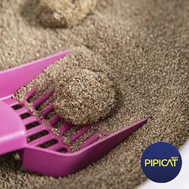 Granulado PipiCat Floral - 4.0kg | Areia Gatos