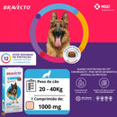 Antipulgas e Carrapatos Bravecto - 1000mg | 20 a 40kg