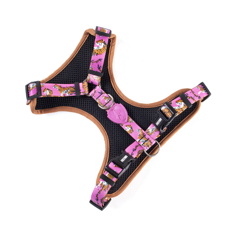 Peitoral Air Funny - Tamanho P | Cães Pequenos FreeFaro