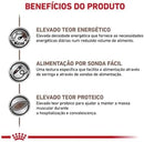 Ração Úmida Recovery Royal Canin - 195g | Cães E Gatos