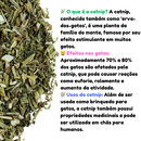 Brinquedo Abacate CatNip | Chalesco