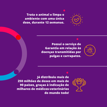Antipulgas e Carrapatos Bravecto - 250mg | 4.5 a 10kg
