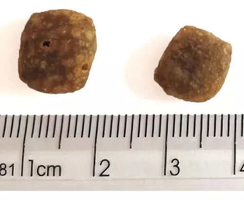 Ração Premier Super Premium Hipoalergênico - 2kg | Sabor Mandioca