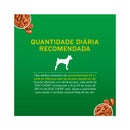 Ração Úmida Dog Chow Cães Adultos - 100g | Sabor Frango, Carne e Cordeiro