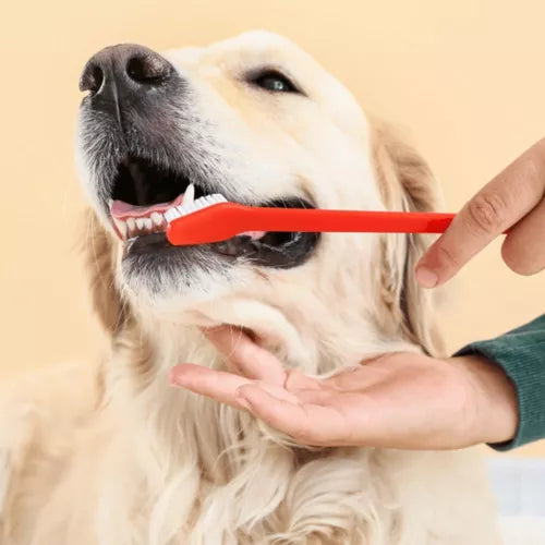 Kit Dental Especial CatDog - 2 Escovas + 1 Pasta | Para cães e gatos