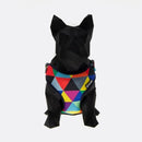 Peitoral Air Savana FreeFaro -  Para Cães Pequenos | Tamanho PP-P