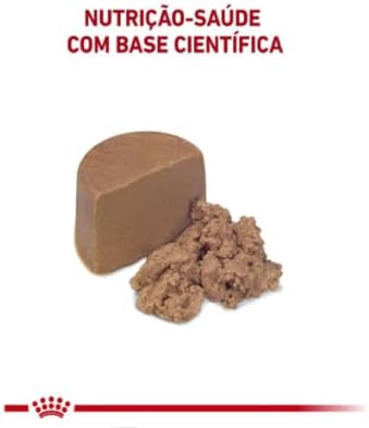 Ração Úmida Recovery Royal Canin - 195g | Cães E Gatos