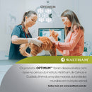 Ração Úmida Optimum Sachê Gatos Adultos | Sabor Carne e Salmão 85 g