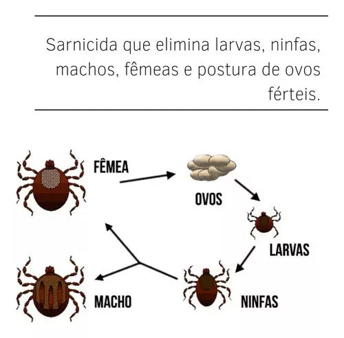 Butox P CE - 20ml | Infestação De Pulga E Carrapatos no Quintal