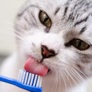 Kit Saúde Oral Virbac - C.E.T  | Pasta + Necessaire + Escova Sabor Frango