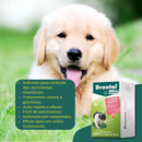 Vermífugo Drontal Puppy Para Filhotes Frasco - 20ml Elanco