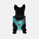 Peitoral Air Funny - Tamanho P | Cães Pequenos FreeFaro