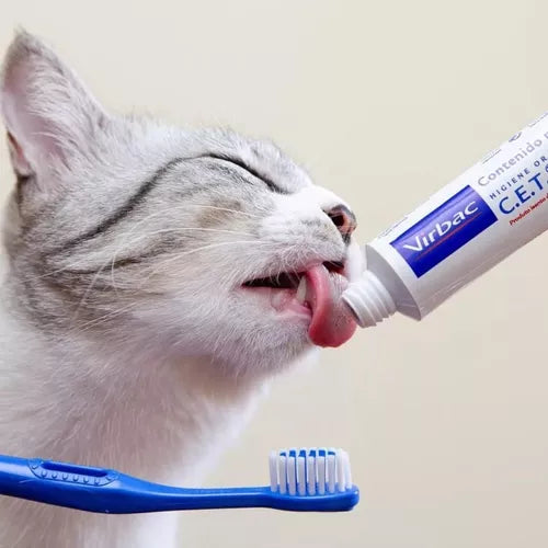 Kit Saúde Oral Virbac - C.E.T  | Pasta + Necessaire + Escova Sabor Frango